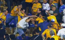 Tigres veta a cuatro aficionados por pelear en el Estadio Universitario