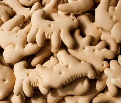 Esto es lo mejor y lo peor de las galletas de animalitos, según Profeco (Foto: Canva) Esto es lo mejor y lo peor de las galletas de animalitos, según Profeco (Foto: Canva)