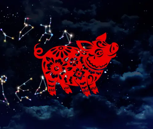 Cerdo en el Horóscopo Chino. Canva Images. Cerdo en el Horóscopo Chino. Canva Images.