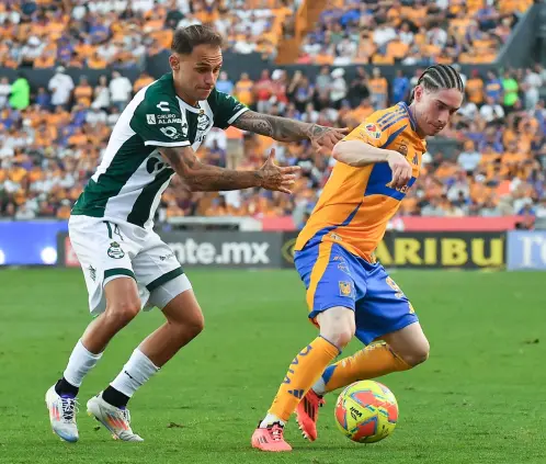 Santos vs Tigres: ¿Cómo le va a los felinos cuando juegan en Torreón? (Photo by Azael Rodriguez/Getty Images) Santos vs Tigres: ¿Cómo le va a los felinos cuando juegan en Torreón? (Photo by Azael Rodriguez/Getty Images)