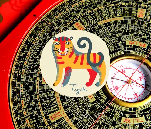 Horóscopo Chino, Tigre. Canva Images. Horóscopo Chino, Tigre. Canva Images.