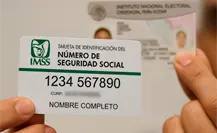 ¿Te quedaste sin NSS? Así puedes recuperarlo y corregir tus datos en el IMSS