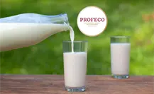 ¿Leche entera o descremada? Profeco explica cuál es la de mejor calidad
