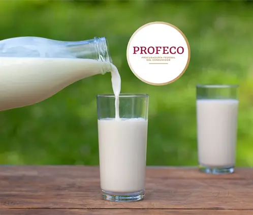 ¿Leche entera o descremada? Profeco explica cuál es la de mejor calidad (Foto: Canva) ¿Leche entera o descremada? Profeco explica cuál es la de mejor calidad (Foto: Canva)