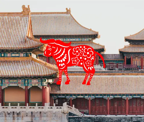 Búfalo en el Horóscopo Chino. Canva Images. Búfalo en el Horóscopo Chino. Canva Images.