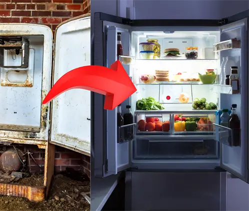 Limpia tu refrigerador en minutos con estos 10 sencillos pasos (Foto: Canva)