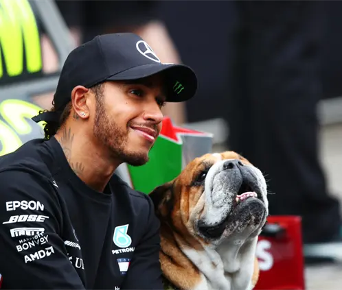 Lewis Hamilton se ausentó de los test de Pirelli debido a que su perro Roscoe está en coma. Getty Images