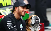 ¿Quién era Roscoe?, el perro de Lewis Hamilton que se volvió un campeón de la F1