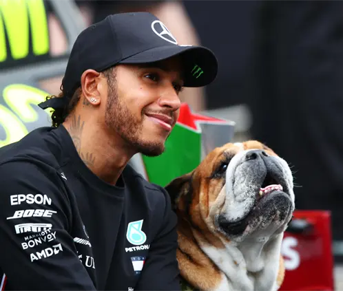 Roscoe murió tras 12 años acompañando a Lewis Hamilton en la F1. Getty Images