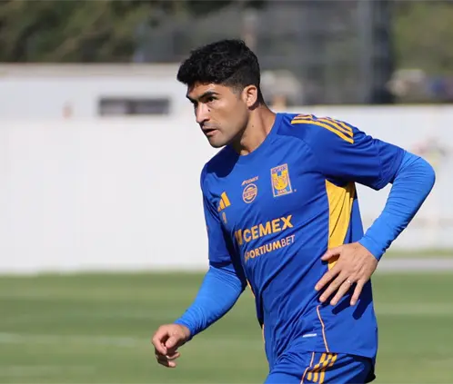 Nicolás Ibáñez sufre lesión previo al duelo Tigres vs. Cruz Azul (Club Tigres)