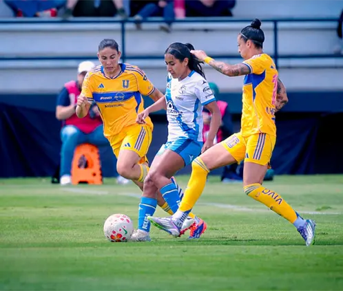Tigres Femenil buscará seguir sumando puntos para terminar como superlíderes. Tigres Femenil buscará seguir sumando puntos para terminar como superlíderes.