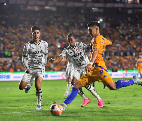 Tigres se medirá a Necaxa tras la pausa por la Fecha FIFA de octubre. Getty Images Tigres se medirá a Necaxa tras la pausa por la Fecha FIFA de octubre. Getty Images