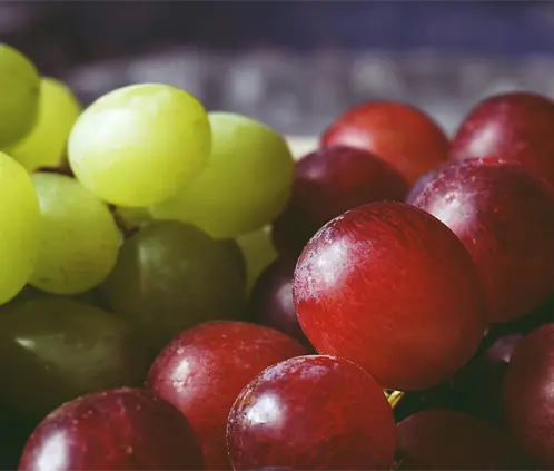 ¿Profeco recomienda comer uvas? 4 cosas que no sabías de esta fruta (Foto: Pexels) ¿Profeco recomienda comer uvas? 4 cosas que no sabías de esta fruta (Foto: Pexels)
