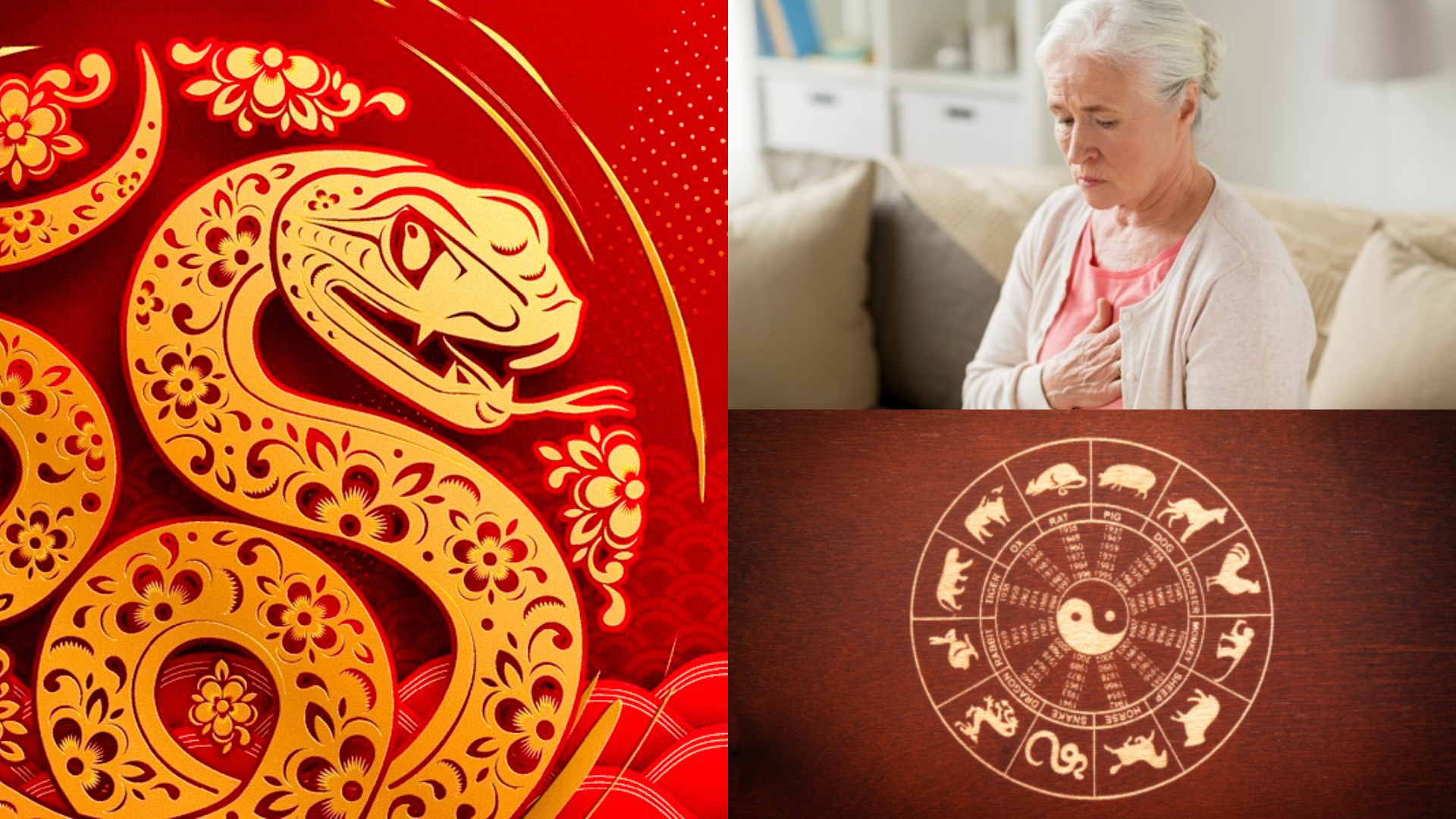 Horóscopo Chino: Así te va a ir de salud en este cierre de año según tu animal Horóscopo Chino: Así te va a ir de salud en este cierre de año según tu animal