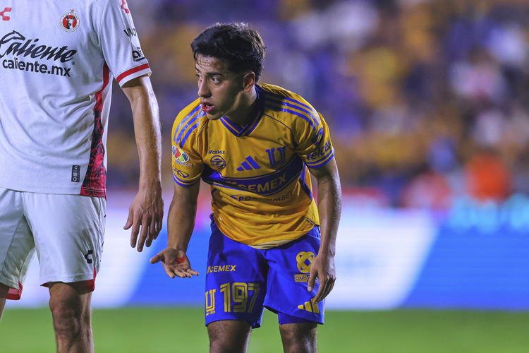 imagen-cuerpo imagen-cuerpo