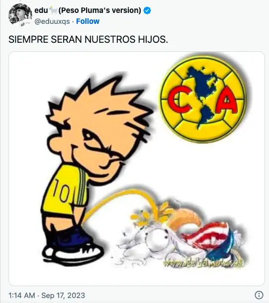 imagen recuadro