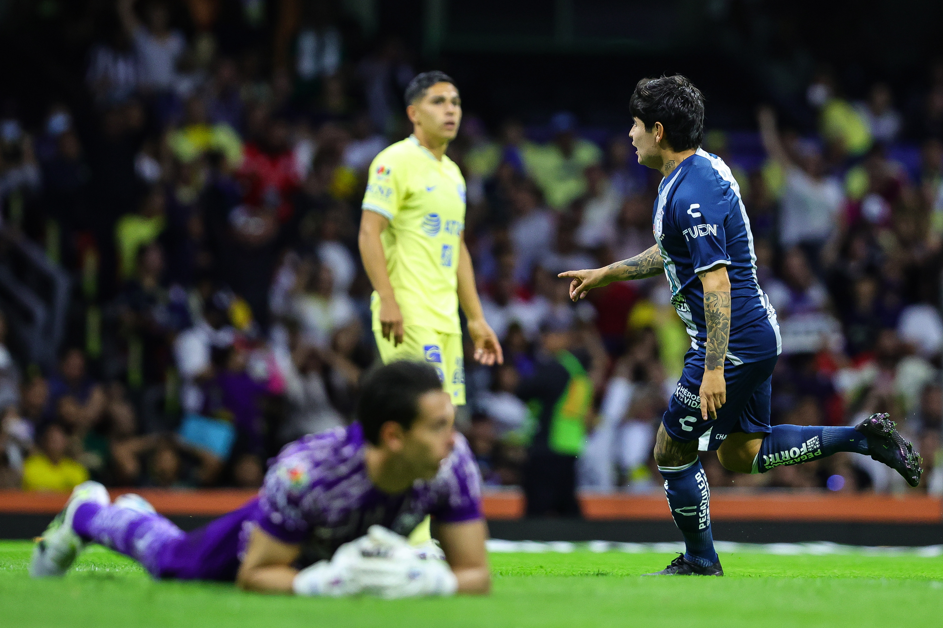 imagen recuadro
